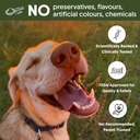 gutpawer-canine-prebiotic-probiotic-supp-61H0k9B+7iL.jpg