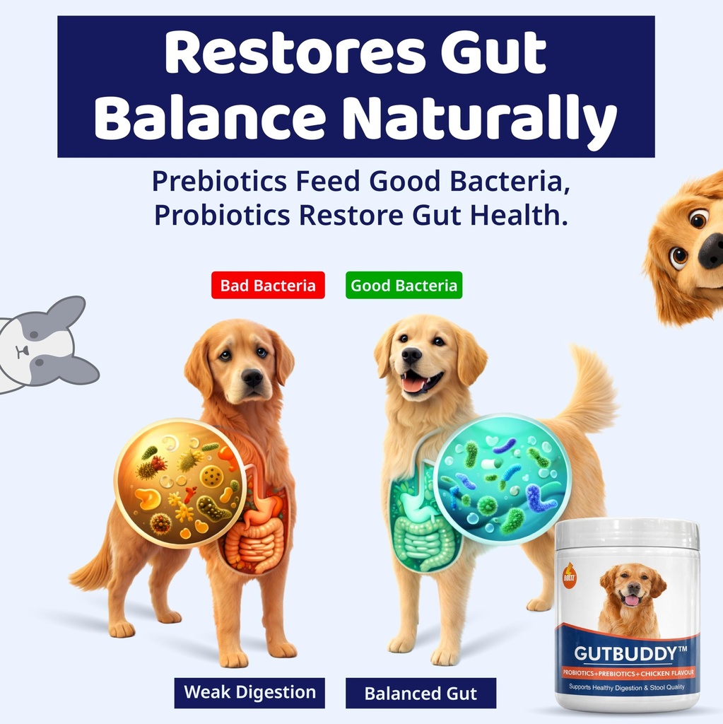 boltz-pre-probiotics-for-dogs-200g-9b-cf-81z0375KIIL.jpg