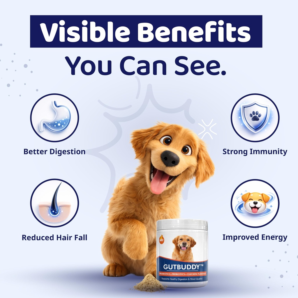 boltz-pre-probiotics-for-dogs-200g-9b-cf-81-WeE3FSLL.jpg