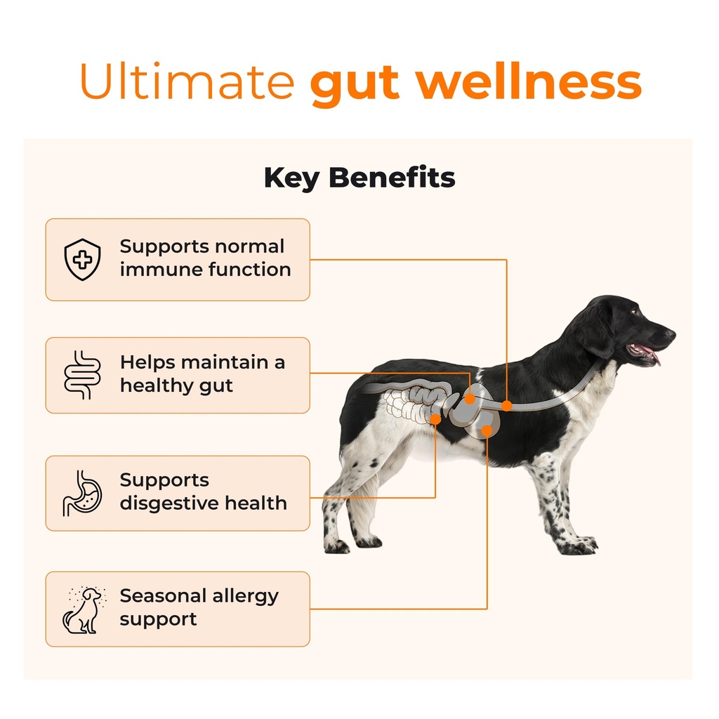 petsapiens-pre-probiotic-supplement-120g-71+6hWe2JEL.jpg