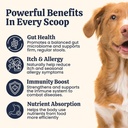 advanced-digestive-support-for-dogs-3-2--81lYnSa8oyL.jpg