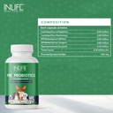 inlife-pre-and-probiotics-supplement-for-81Z3S1VeyvL.jpg