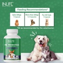 inlife-pre-and-probiotics-supplement-for-81Ix9E9oZYL.jpg