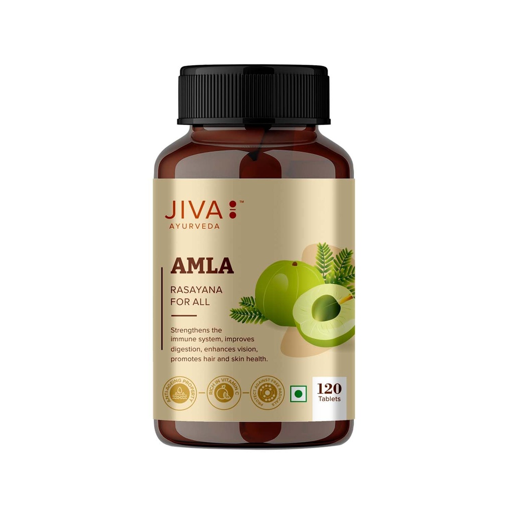 jiva-amla-tablets-500mg-360-tablet-100-p-61fBL7KfklL.jpg