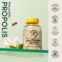 beekeeper-s-naturals-sinus-support-for-a-61SCII8fykL.jpg