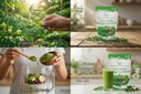 malan-premium-moringa-leaf-powder-100g-1-71yIua2q-CL.jpg