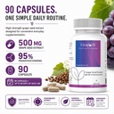 grape-seed-extract-antioxidant-support-h-71bcA--hkQL.jpg