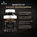 shilajit-ashwagandha-tablets-for-stamina-813Gp4W2BdL.jpg