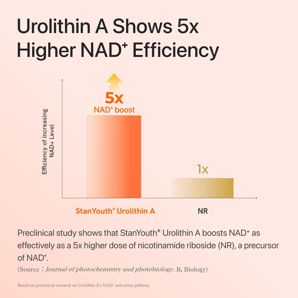 gynable-urolithin-a-supplement-with-nmn--61HydV+WfrL.jpg