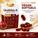 finding-ferdinand-urolithin-a-supplement-71H+2CheiuL.jpg
