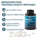 nad-resveratrol-supplement-nad-supplemen-71VUE2oabCL.jpg
