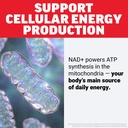 force-factor-nad-nmn-or-nicotinamide-rib-81U8PYbhyPL.jpg