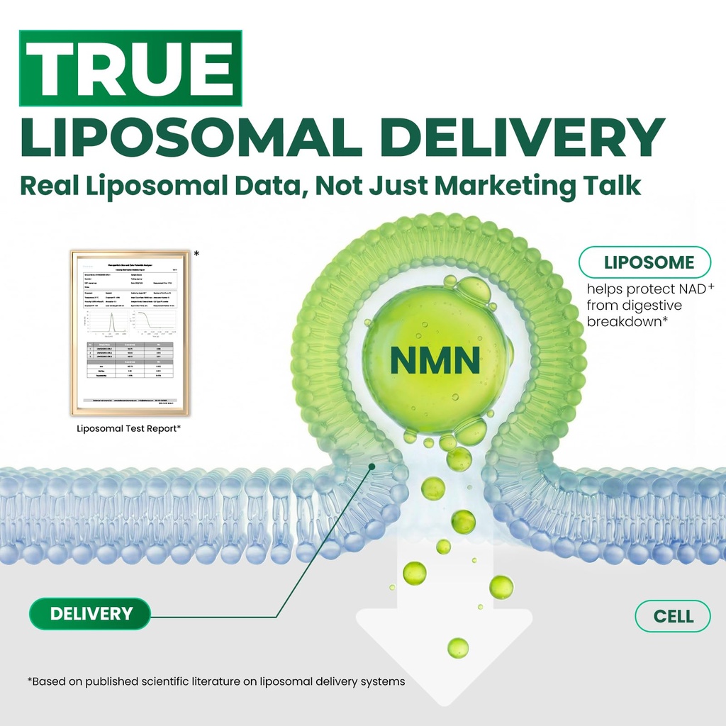 heth-liposomal-nmn-supplement-1000mg-4-i-71IQgOpmFVL.jpg