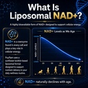 nad-supplement-liposomal-nad-supplement--71suAScvvHL.jpg