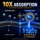 nad-supplement-liposomal-nad-supplement--71kHXkw8TIL.jpg