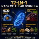 nad-supplement-liposomal-nad-supplement--71Gq9ygzV+L.jpg