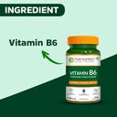 pure-nutrition-vitamin-b6-supplements-py-711pNLJGz0L.jpg