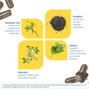 researched-nutritionals-toxinpul-kidney--71RMz2lcjoL.jpg