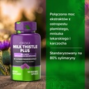 orzax-milk-thistle-250-mg---liver-cleans-5.jpg