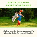 animal-essentials-energy-cordyceps-mushr-4.jpg