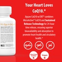 jigsaw-health-coq10-wsrt-heart-health-su-4.jpg