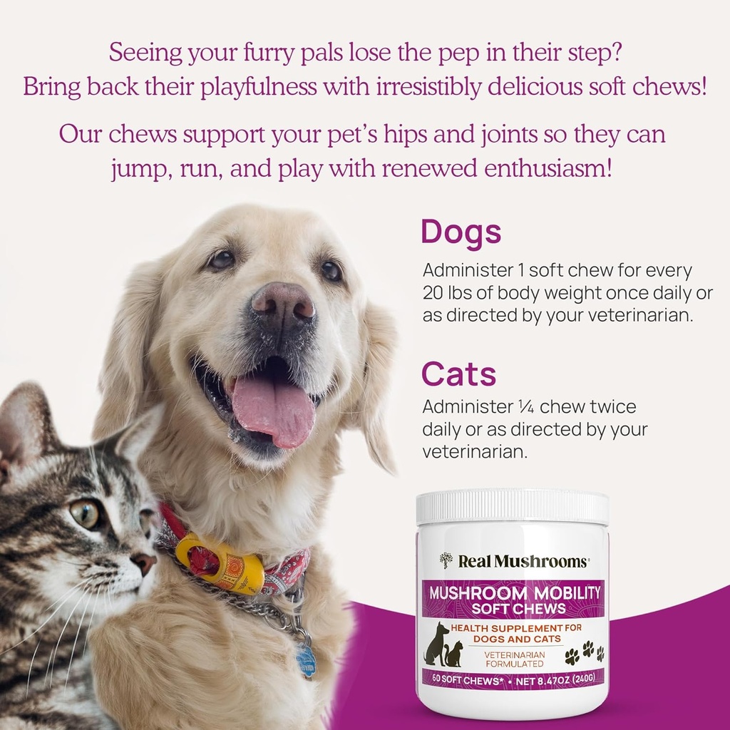 real-mushrooms-mobility-chews-for-dogs-c-4.jpg