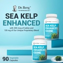 dr-berg-sea-kelp-enhanced-iodine---200-m-4.jpg