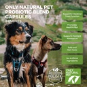 only-natural-pet-probiotic-dog-and-cat-s-4.jpg