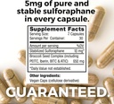 mara-labs-plus-60-capsules-and-curcelite-3.jpg