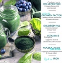 chlorella-spirulina-powder-organic-super-3.jpg