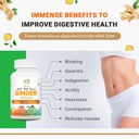 organic-aura-ginger-capsules---120-veg-c-5.jpg