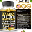 sea-moss-black-seed-oil-ashwagandha-ging-6.jpg