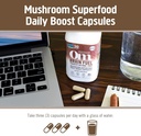 om-mushroom-superfood-brain-fuel-mushroo-6.jpg