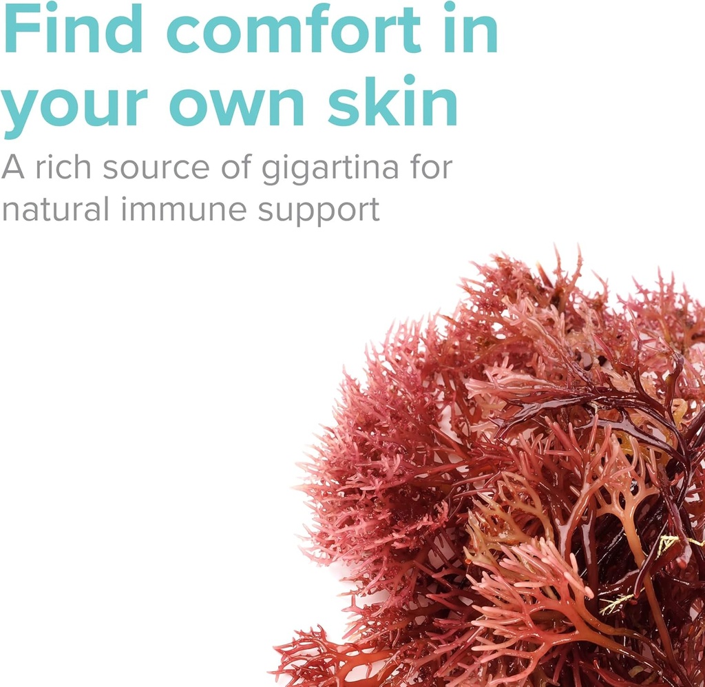 vibrant-health-gigartina-red-marine-alga-3.jpg