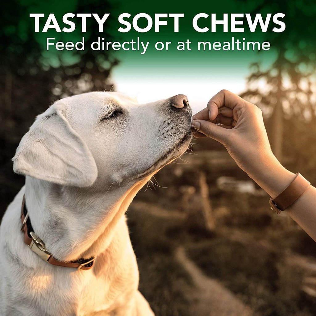 vets-best-seasonal-allergy-soft-chew-dog-3.jpg