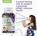 viteey-sambucus-elderberry-gummies-for-k-6.jpg