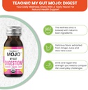 teaonic-my-gut-mojo-digest-detox-drinks--4.jpg