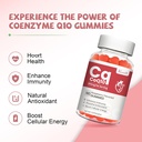 high-absorption-coq10-gummies-250-mg-plu-5.jpg