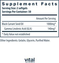 vital-nutrients---black-currant-seed-oil-2.jpg