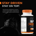 nutrarize-alpha-horse-capsules-alpha-hor-5.jpg