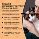 animal-essentials-eye-defense-support-fo-6.jpg