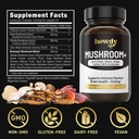 lions-mane-supplement-capsules---mushroo-2.jpg