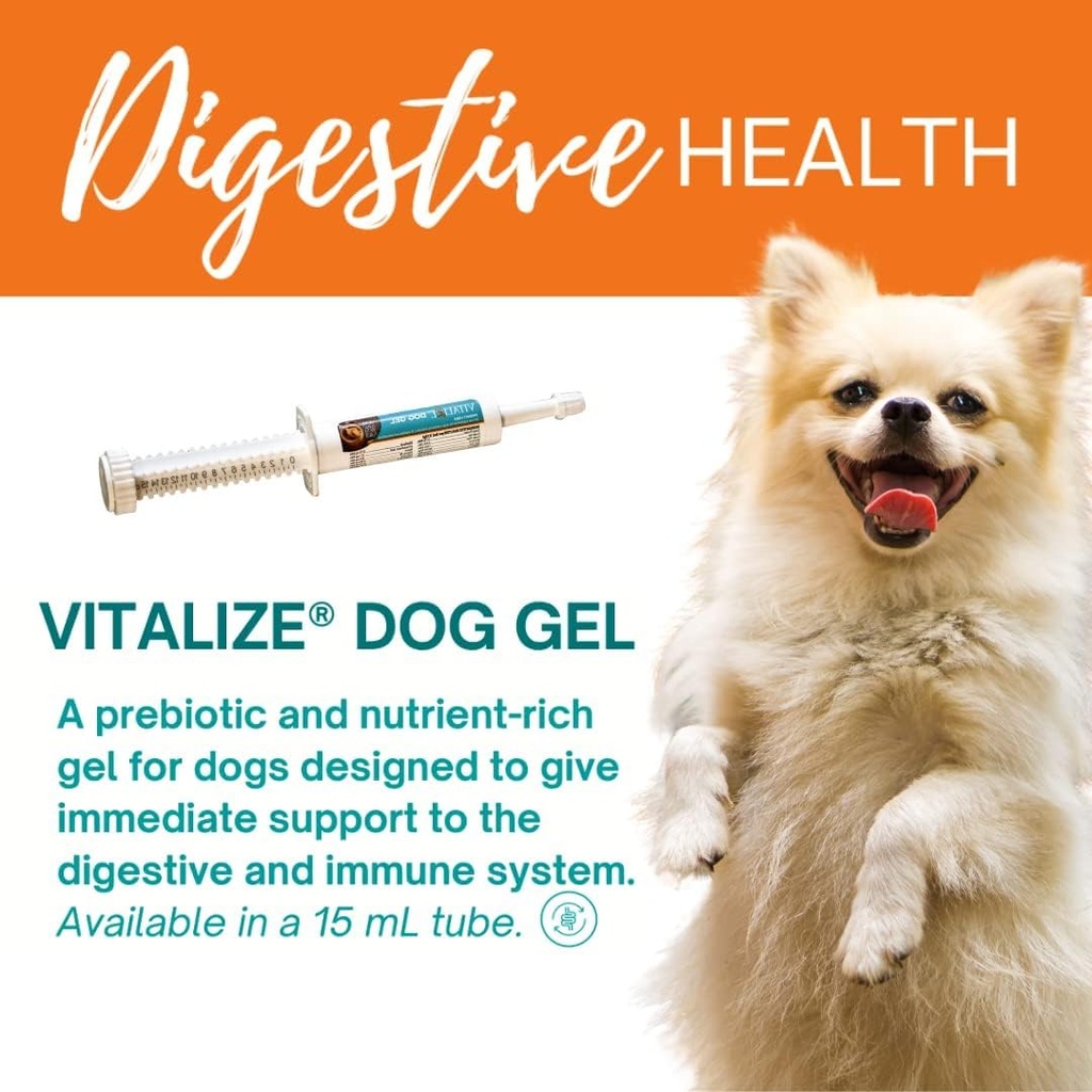 vitalize-dog-gel---after-surgery-recover-3.jpg