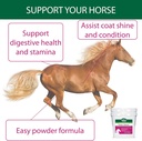 power-stance-powdered-coconut-oil-horse--4.jpg