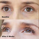 dabalash-professional-eyelash-eyebrow-gr-3.jpg