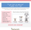 herbsmith-senior-dog-wisdom-dog-dementia-4.jpg