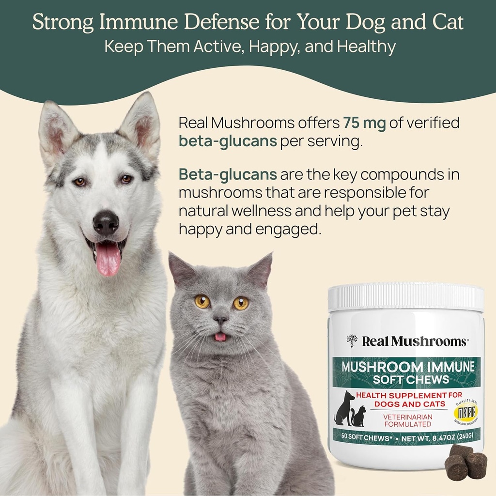 real-mushroom-immune-pet-chews-for-daily-4.jpg