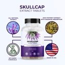 amazing-botanicals-skullcap-10x-extract--5.jpg