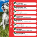 iheartdogs-extra-strength-urinary-bladde-6.jpg