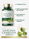 carlyle-garcinia-cambogia-extract-3000mg-4.jpg